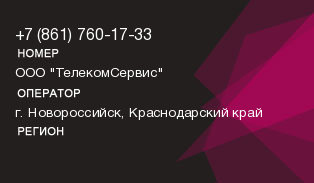 8617601733